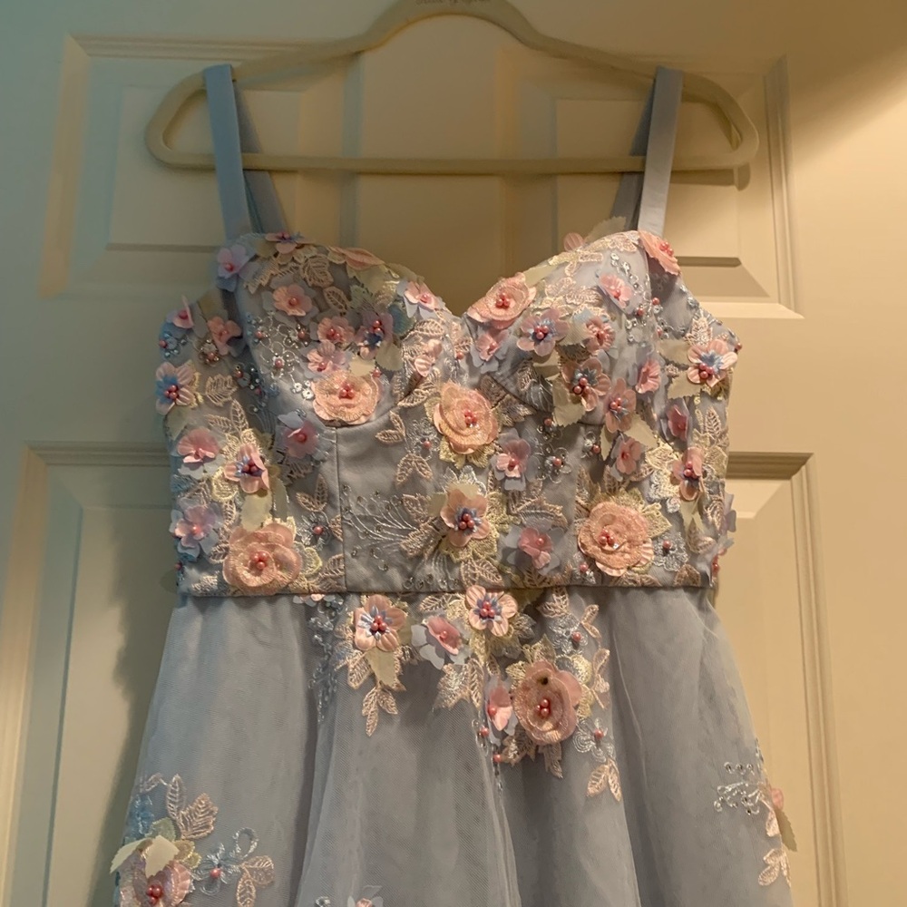 Never worn Floral Embroidered Dress in Blue and Pink